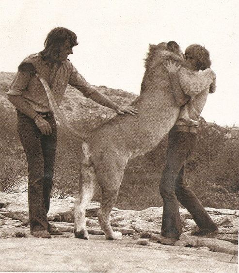 Christian the lion True Story of Christian The Lion