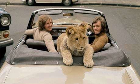 Christian the lion Christian the lion our joy and pride Life and style The Guardian