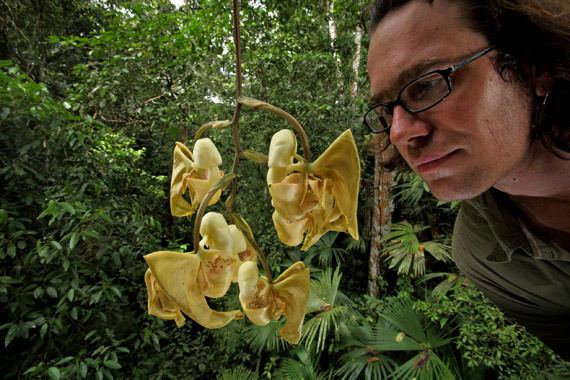 Christian Ziegler Christian Ziegler The World of Wild Orchids livebetter