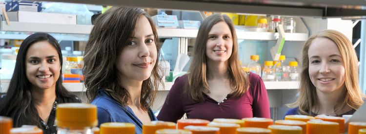Christina Smolke Stanford researchers genetically engineer yeast to produce opioids