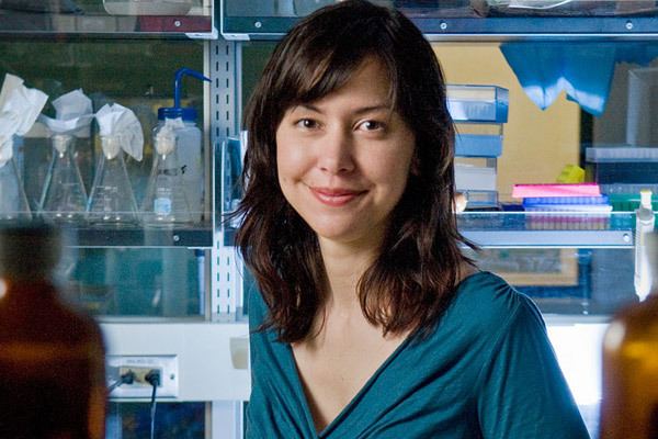 Christina Smolke Stanford bioengineers develop a toolkit for designing more