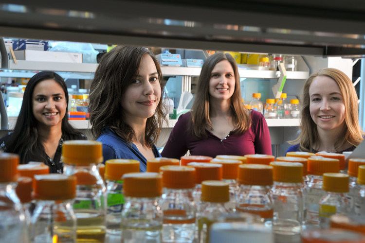 Christina Smolke Stanford researchers genetically engineer yeast to produce opioids