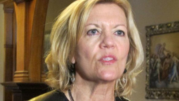 Christine Elliott Tory MPP asks auditor general to probe community care