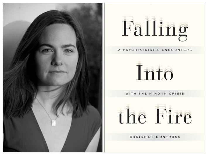 Christine Montross Falling Into the Fire a piercing portrait of psychiatry LA Times