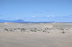 Christmas Valley Sand Dunes httpsuploadwikimediaorgwikipediacommonsthu