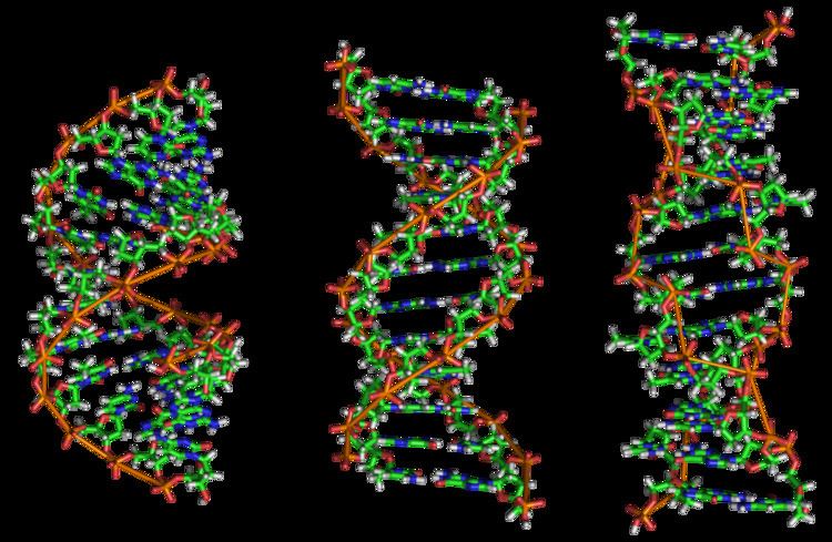 Chromatin