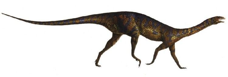 Chromogisaurus imagesdinosaurpicturesorgChromogisaurusEmilio