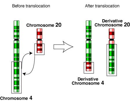 Chromosomal translocation