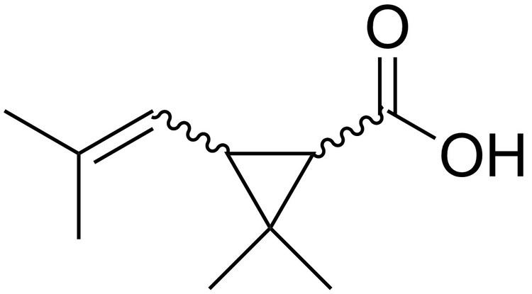 Chrysanthemic acid FileChrysanthemic acidpng Wikimedia Commons