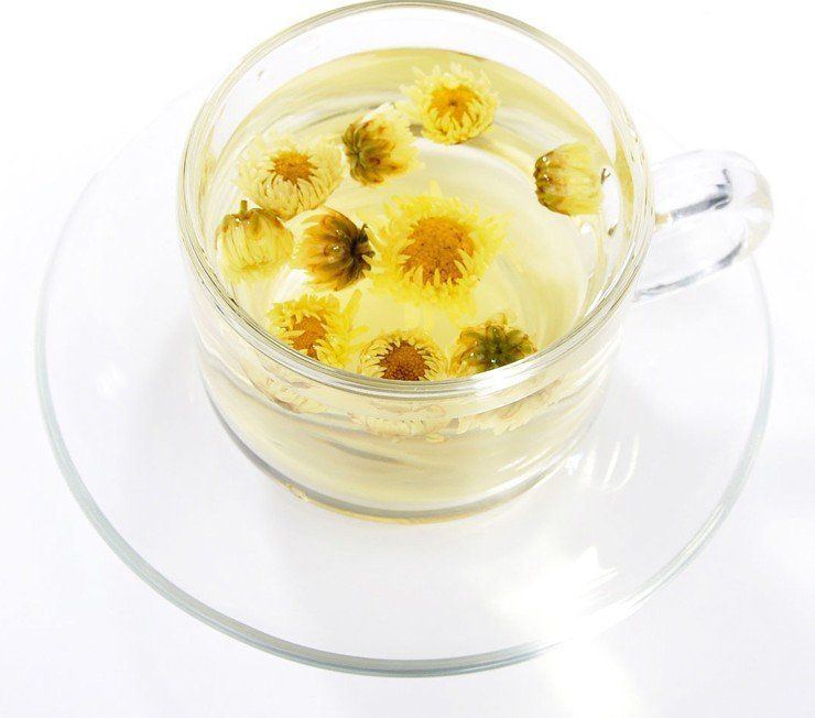 Chrysanthemum tea 1000 ideas about Chrysanthemum Tea on Pinterest Jasmine tea Tea