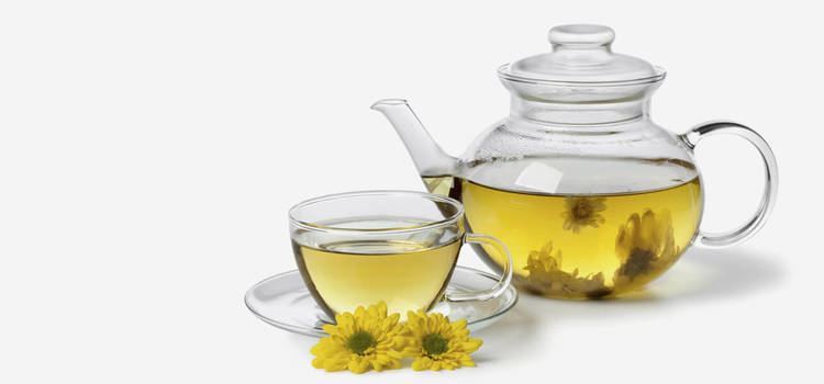 Chrysanthemum tea 9 Surprising Benefits Of Chrysanthemum Tea
