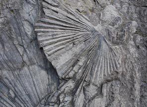 Chuckanut Formation Outdoors Learn about fossils at Burke Museum then hit the road to