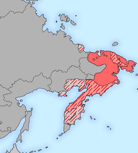 Chukotko-Kamchatkan languages