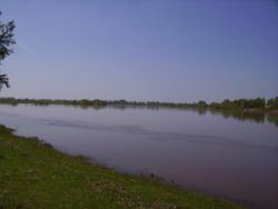 Chulym River (Ob River) httpsuploadwikimediaorgwikipediacommonsthu