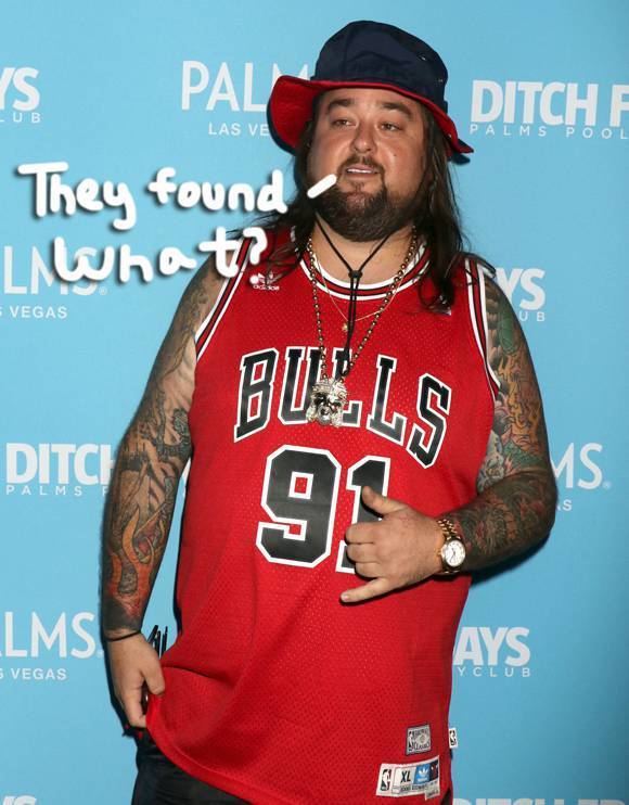 Chumlee austin russell News and Photos Perez Hilton