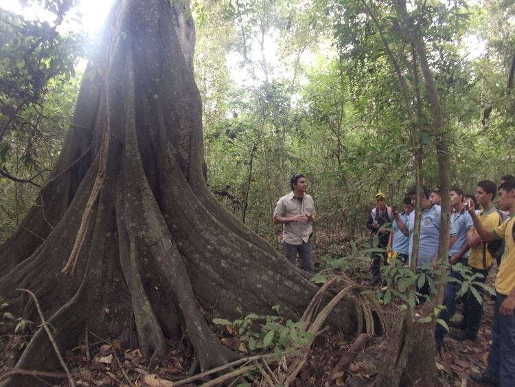 Churute Mangroves Ecological Reserve wwwketekacomwpcontentuploads201308Howlerh