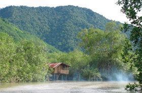 Churute Mangroves Ecological Reserve Guayaquil The Churute Mangrove Reserve Ecuador Lands Tours and