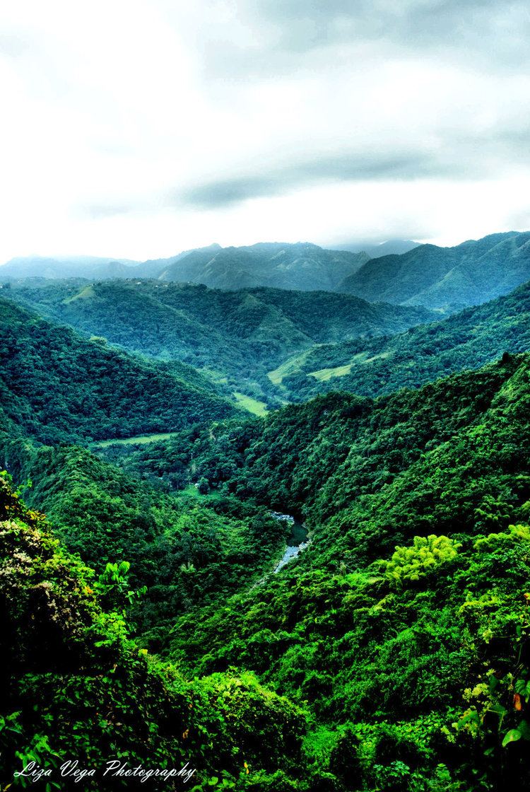 Ciales, Puerto Rico Beautiful Landscapes of Ciales, Puerto Rico