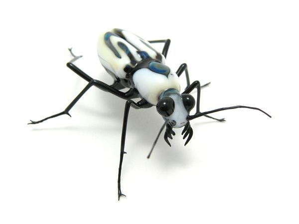 Cicindela dorsalis glass sculptor Wesley Fleming artwork 39Tiger Beetle quotCicindela