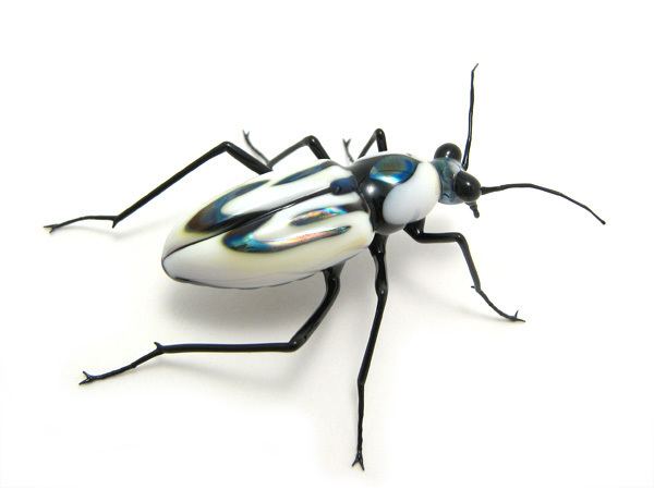 Cicindela dorsalis glass sculptor Wesley Fleming artwork 39Tiger Beetle quotCicindela
