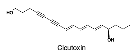 Cicutoxin WaterDropwort Hemlock Wild Flower Finder