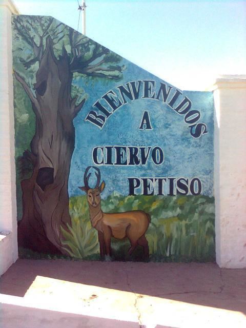 Ciervo Petiso, Chaco wwwheraldicaargentinacomar1ChaCiervoPetisoen