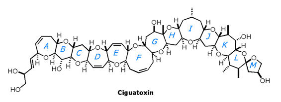Ciguatoxin Total Synthesis of Ciguatoxin by Inoue Hirama