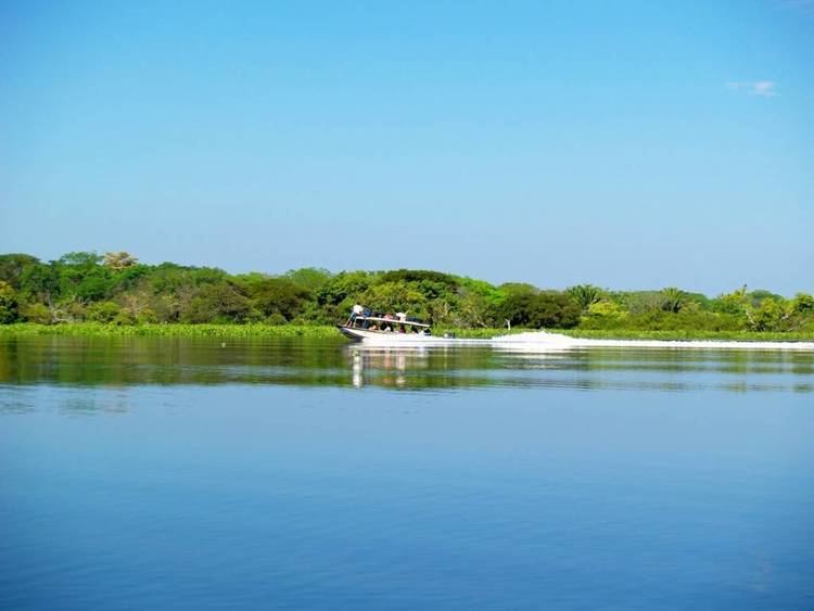 Ciénaga de Zapatosa httpsvariedadesdecolombiacomwpcontentupload
