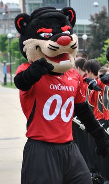 Cincinnati Bearcats httpsuploadwikimediaorgwikipediacommonsthu