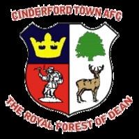 Cinderford Town A.F.C. httpsuploadwikimediaorgwikipediaenthumb1