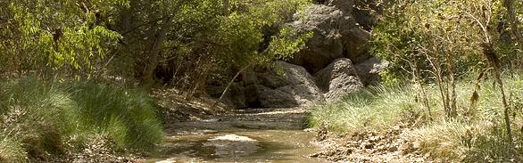 Ciénega Creek Arizona Heritage Waters Cinega Creek Natural Preserve
