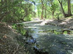Ciénega Creek httpsuploadwikimediaorgwikipediacommonsthu
