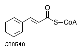 Cinnamoyl-CoA wwwgenomejpFigcompoundC00540gif