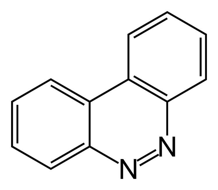 Cinnoline httpsuploadwikimediaorgwikipediacommons88