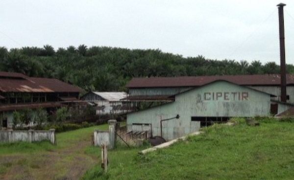 Cipetir, Sukabumi Kisah Balok quotTjipetirquot di Sukabumi yang Mendunia Okezone News