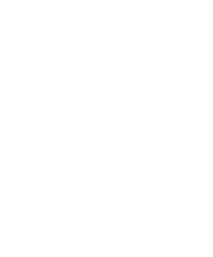 CircusTrix wwwcircustrixusPortals4LayerGalleryuploads2