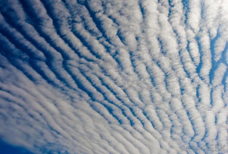 Cirrocumulus cloud What is Cirrocumulus with pictures