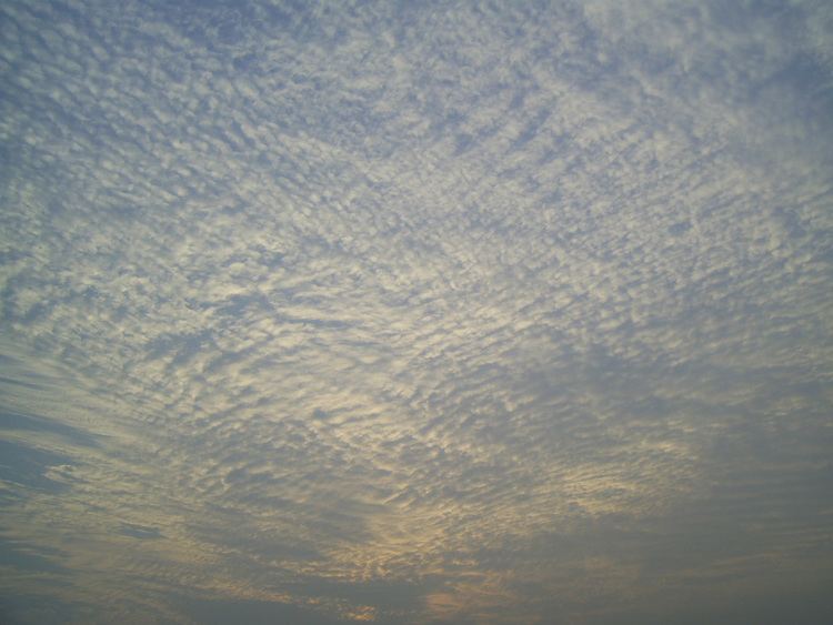 Cirrocumulus cloud FileCirrocumulus in Hong Kongjpg Wikimedia Commons