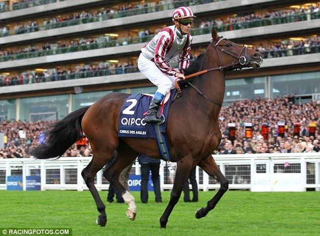 Cirrus des Aigles Frankie Dettori39s tip for the King George Vi amp Queen Elizabeth