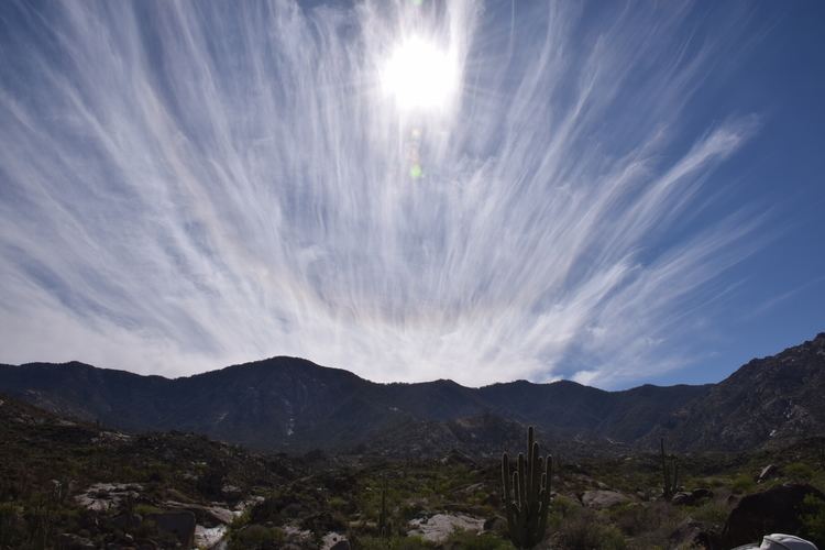 Cirrus radiatus Petroglyphs