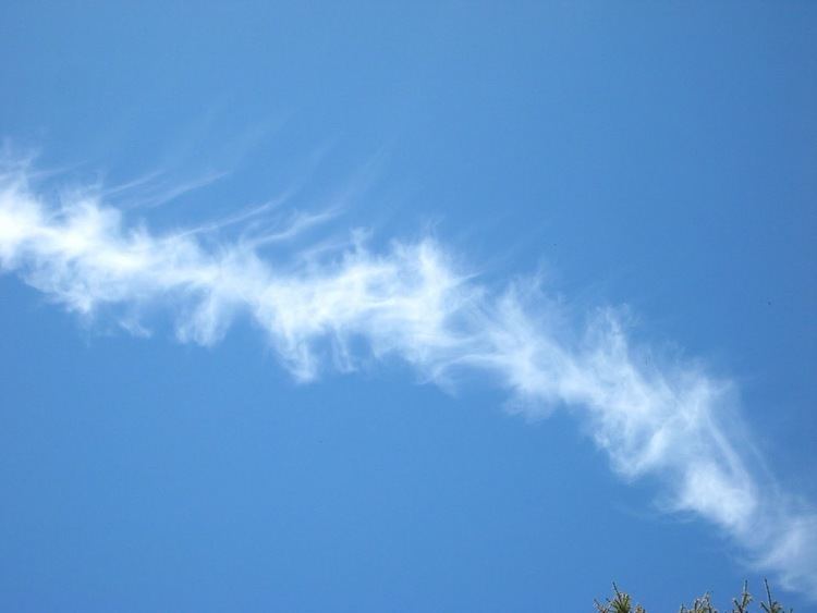 Cirrus Vertebratus Cloud Description