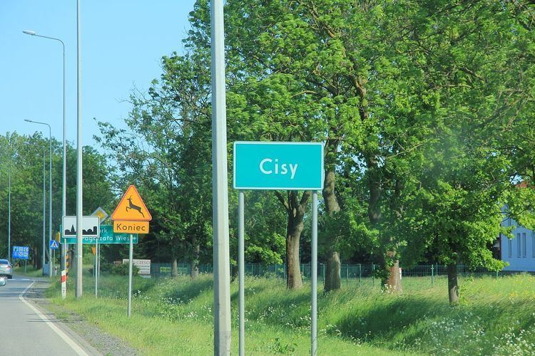 Cisy, Malbork County