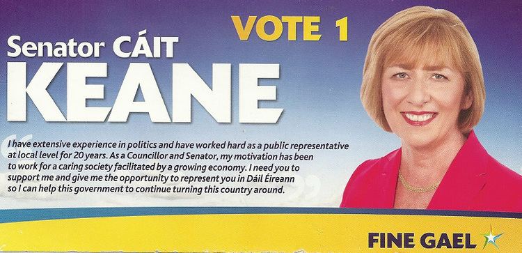 Cáit Keane Canvass Card and Sorry I Missed You from Cit Keane Fine Gael