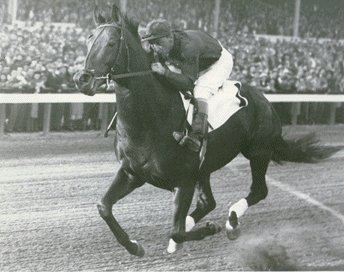 thumbnail interactive-video image 1 of Citation 1948 Triple Crown Winner Eddie Arcaro 8x10 Photo – Horse Racing Memorabilia, USA Made 1 of 6