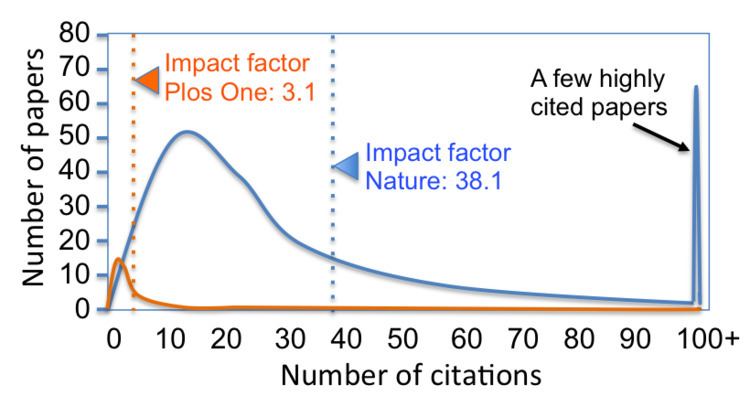Citation impact