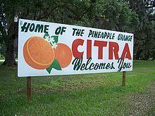 Citra, Florida httpsuploadwikimediaorgwikipediacommonsthu
