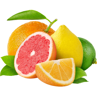 Citrus wwwfruitscapesllccomcitrus1png