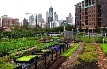 City farm USA Today Cities ease rules to encourage urban farms City Farmer News