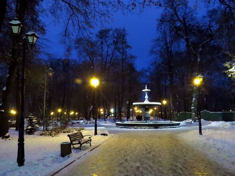 City Park (Kiev)