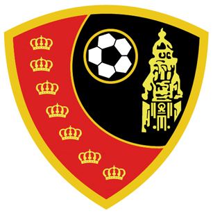 Ciudad de Murcia cf ciudad de murcia sad La Futbolteca Enciclopedia del Ftbol
